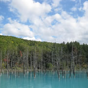 Blue Pond (Biei)